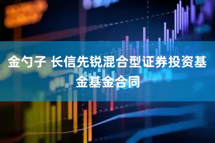 金勺子 长信先锐混合型证券投资基金基金合同