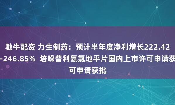 驰牛配资 力生制药：预计半年度净利增长222.42%—246.85%  培哚普利氨氯地平片国内上市许可申请获批