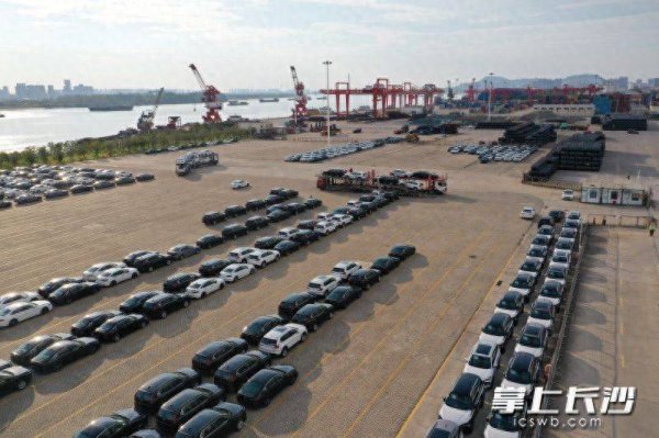 股管家 长沙新港滚装汽车吞吐量突破20万台大关