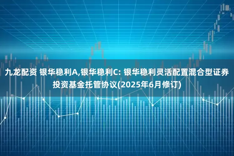 九龙配资 银华稳利A,银华稳利C: 银华稳利灵活配置混合型证券投资基金托管协议(2025年6月修订)